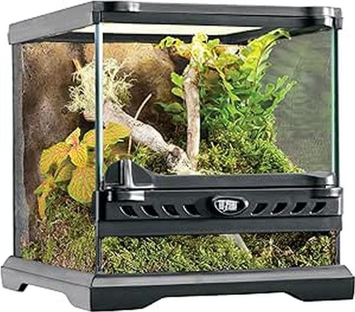Micro terrario vetro - -, con